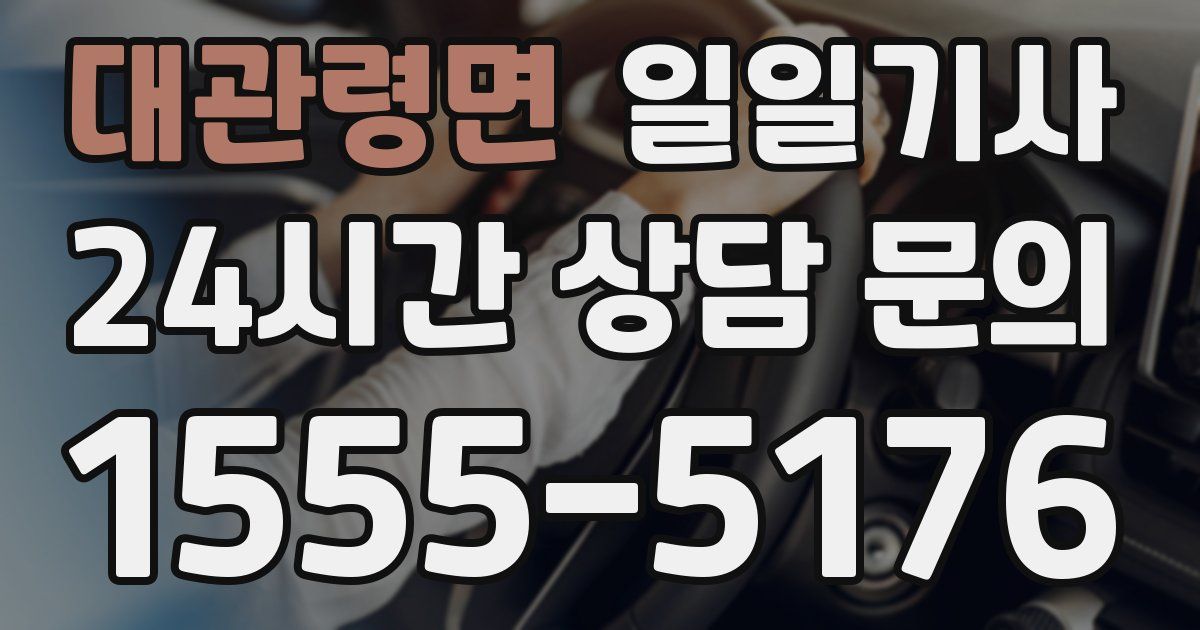 일일대리기사