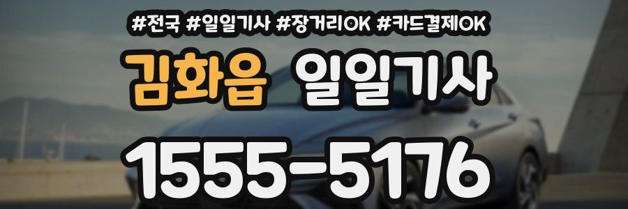 김화읍 일일기사