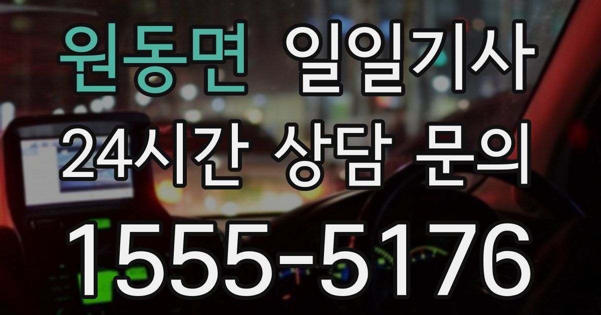 일일대리기사