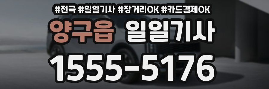 양구읍 일일기사