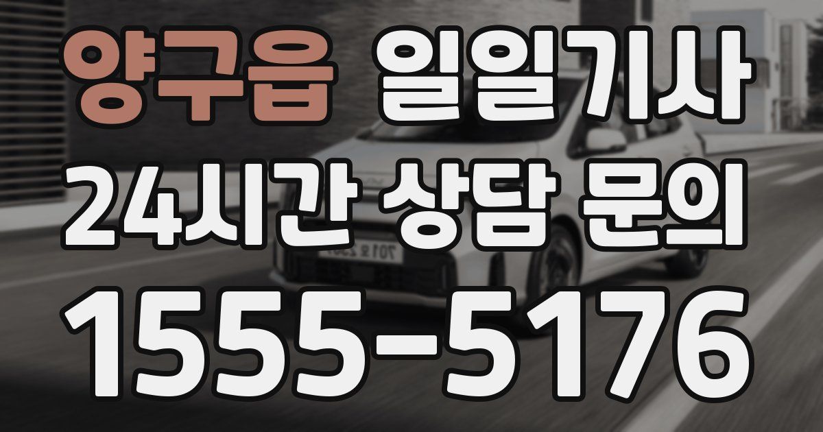 일일대리기사