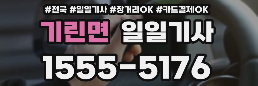 기린면 일일기사