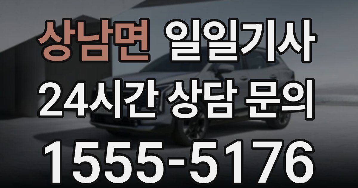 일일대리기사