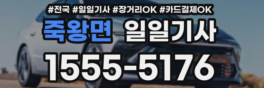 죽왕면 일일기사