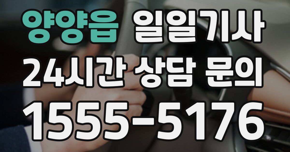 일일대리기사