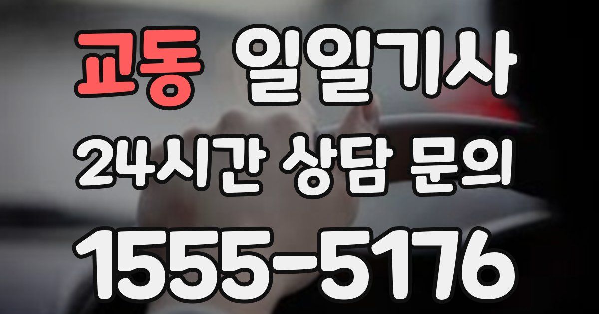 일일대리기사