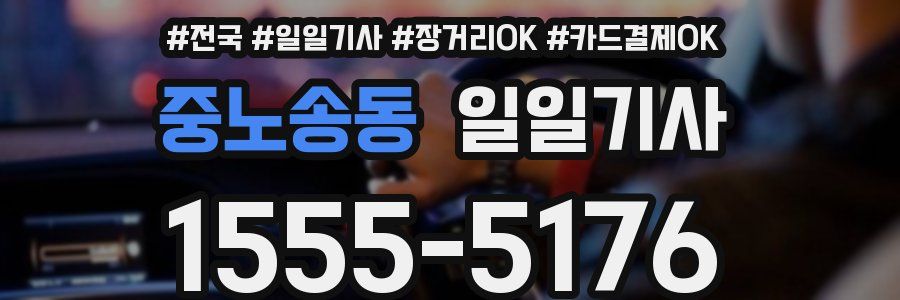 중노송동 일일기사