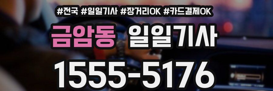 금암동 일일기사