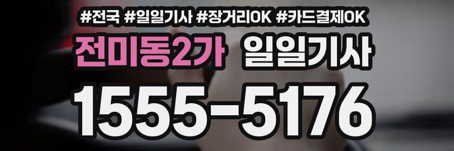 전미동2가 일일기사