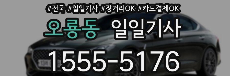 오룡동 일일기사