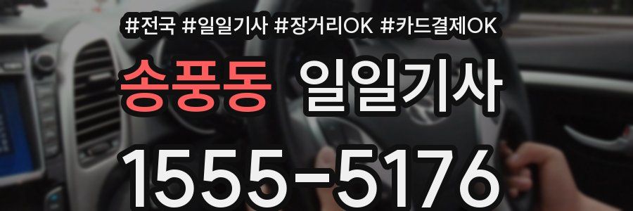 송풍동 일일기사