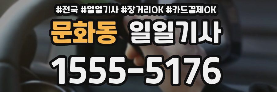 문화동 일일기사