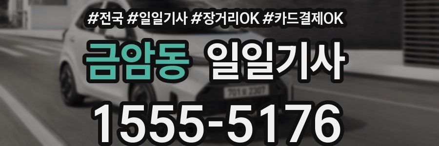 금암동 일일기사