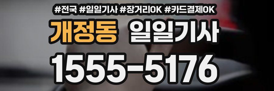 개정동 일일기사
