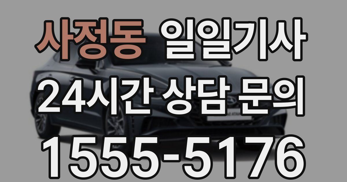 일일대리기사