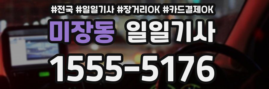 미장동 일일기사