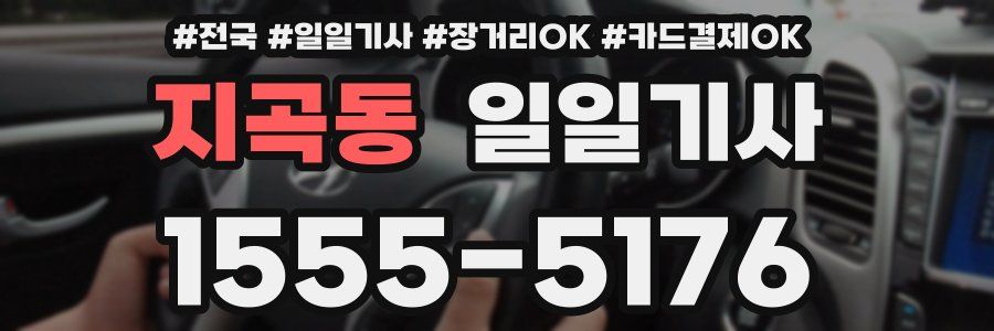 지곡동 일일기사