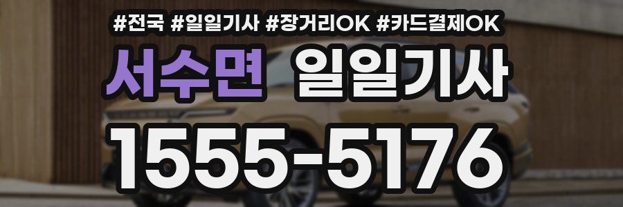 서수면 일일기사