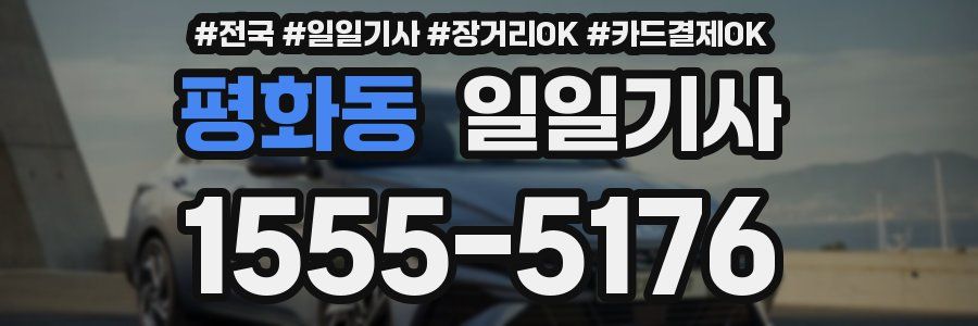 평화동 일일기사