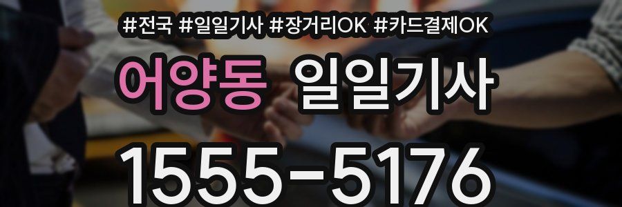 어양동 일일기사