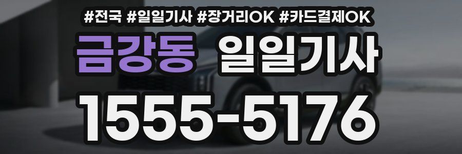 금강동 일일기사