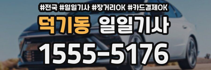 덕기동 일일기사