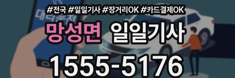 망성면 일일기사