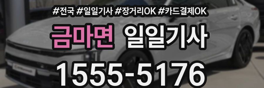 금마면 일일기사