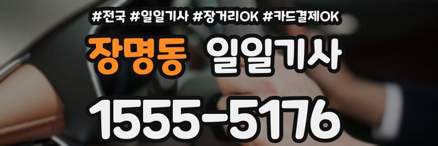 장명동 일일기사