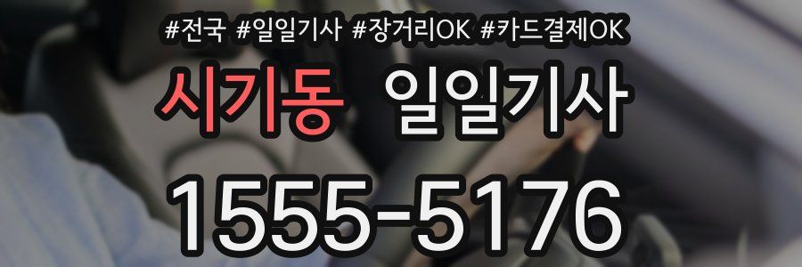 시기동 일일기사