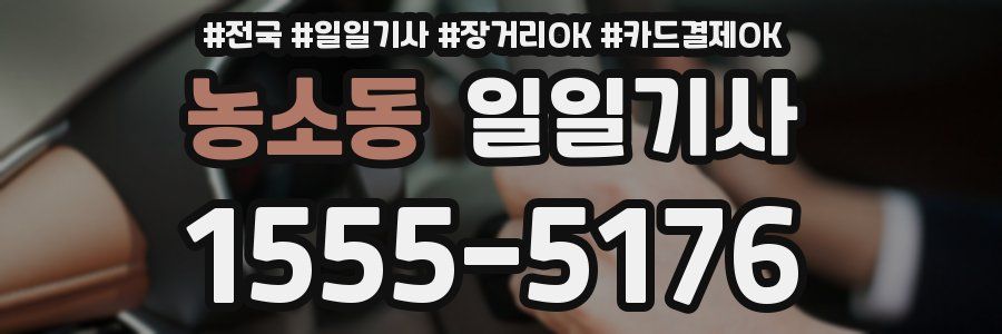 농소동 일일기사