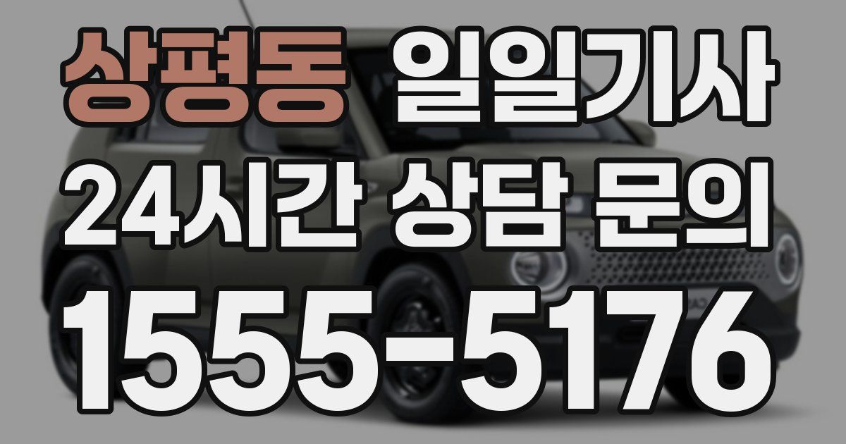 일일대리기사