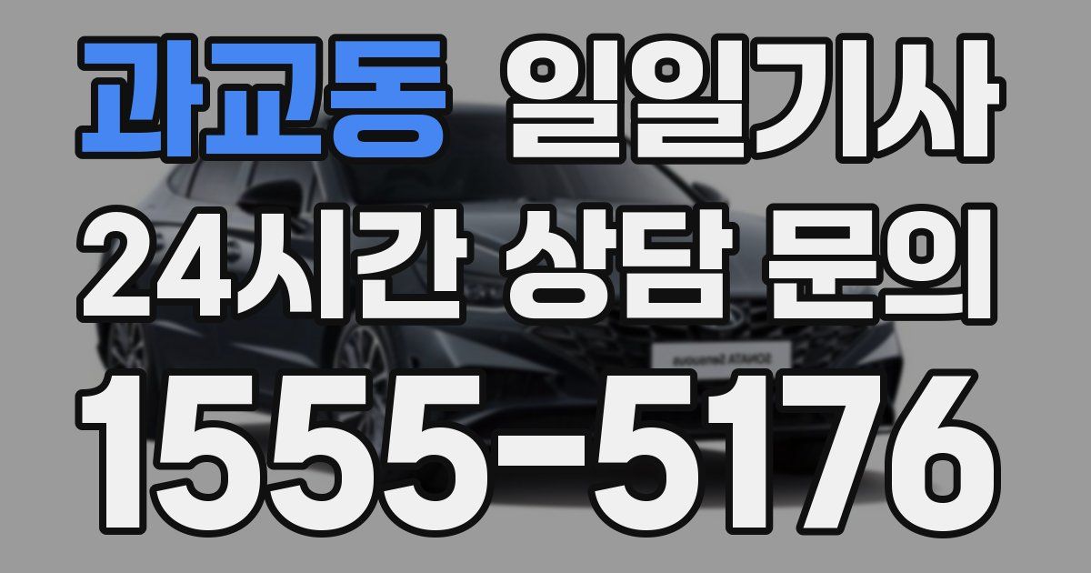 일일대리기사