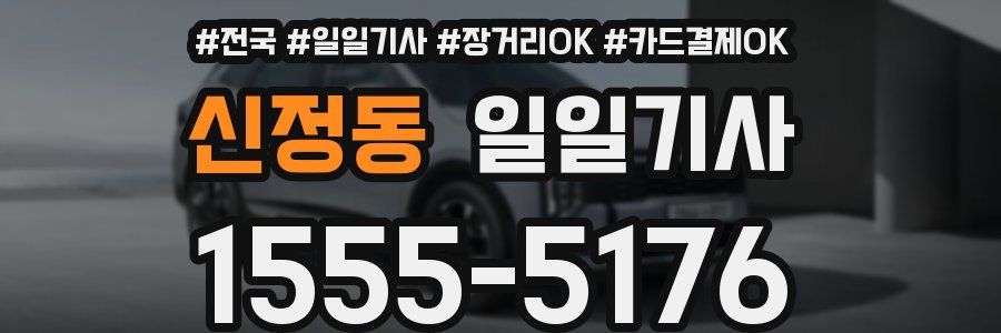 신정동 일일기사