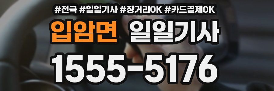 입암면 일일기사