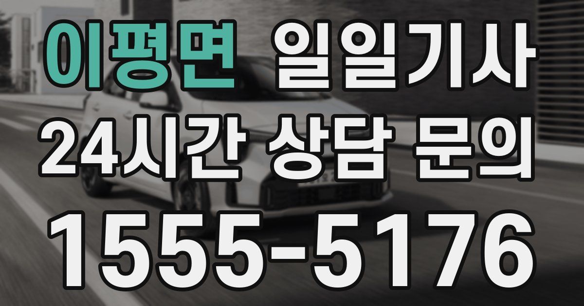 일일대리기사