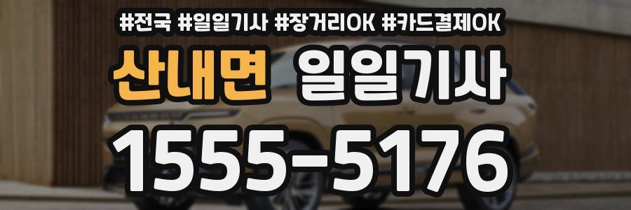 산내면 일일기사