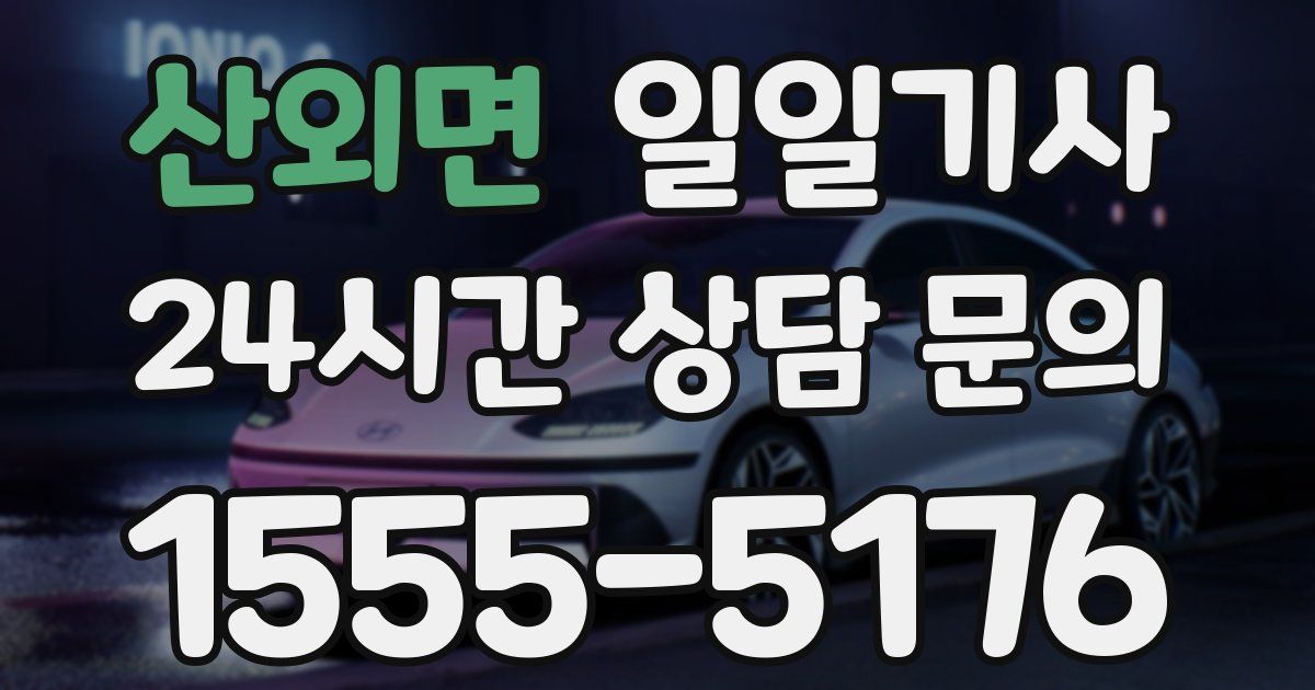일일대리기사