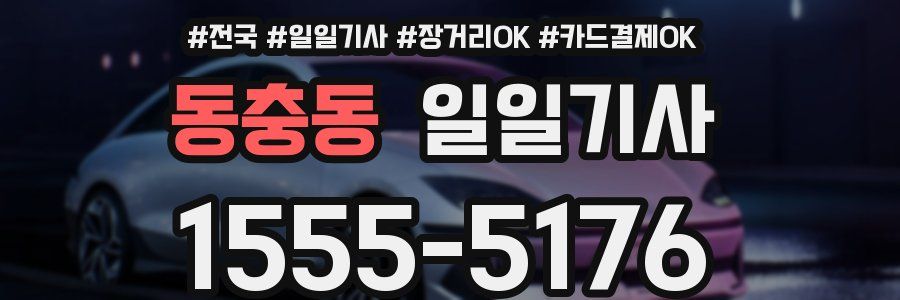 동충동 일일기사