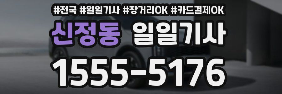 신정동 일일기사