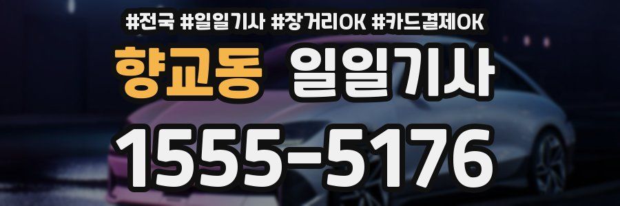 향교동 일일기사