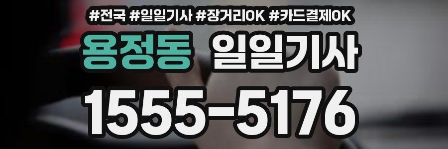 용정동 일일기사