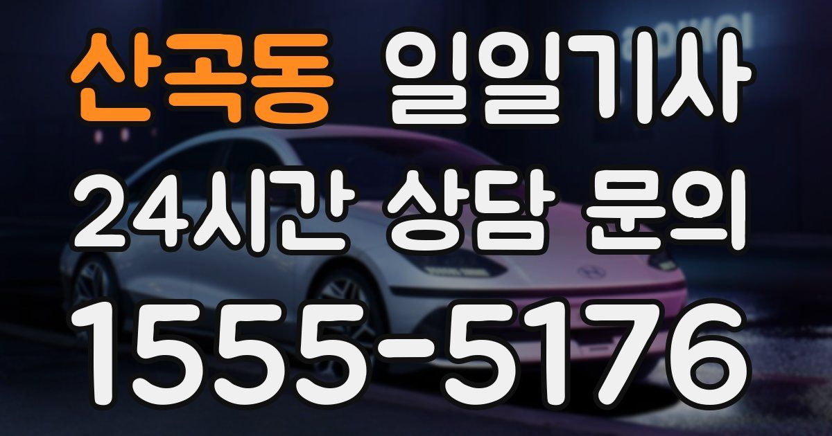 일일대리기사