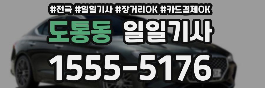 도통동 일일기사