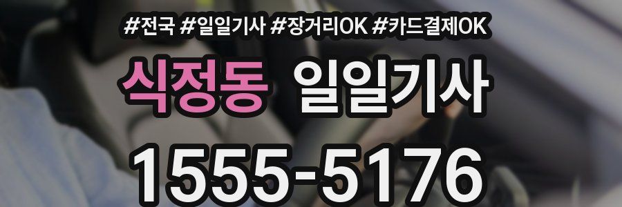 식정동 일일기사