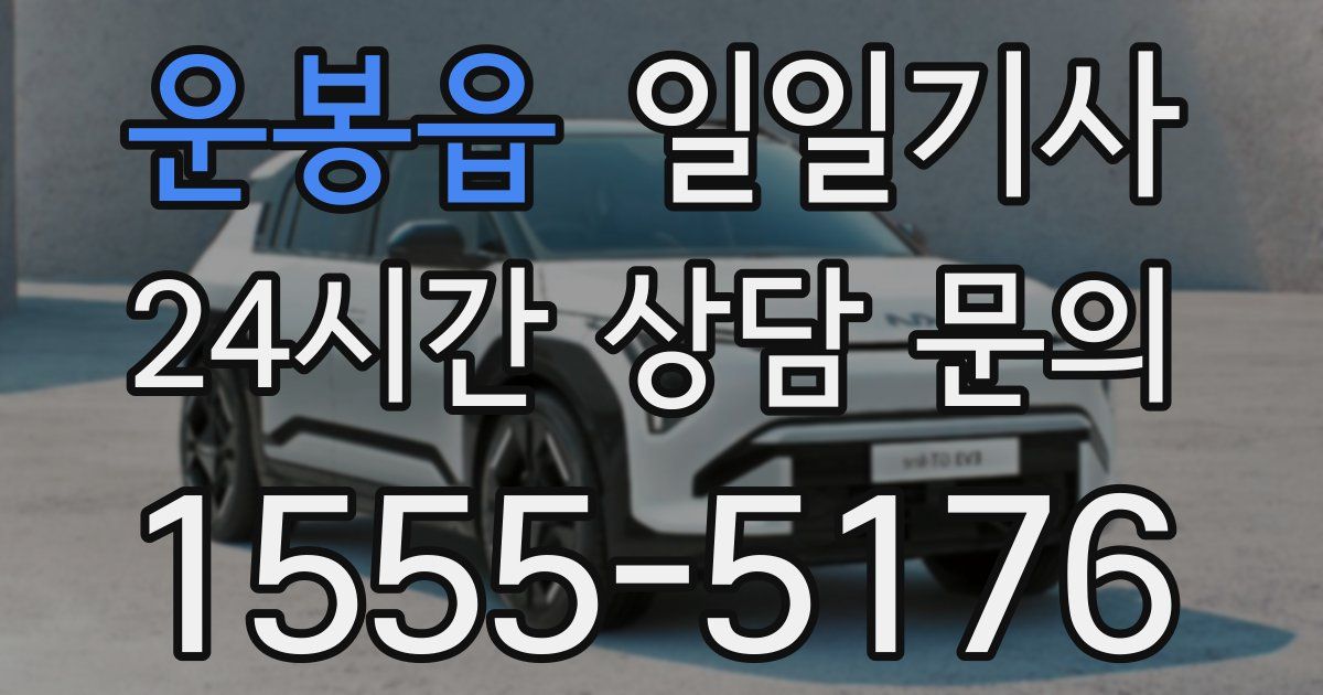 일일대리기사