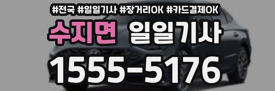 수지면 일일기사