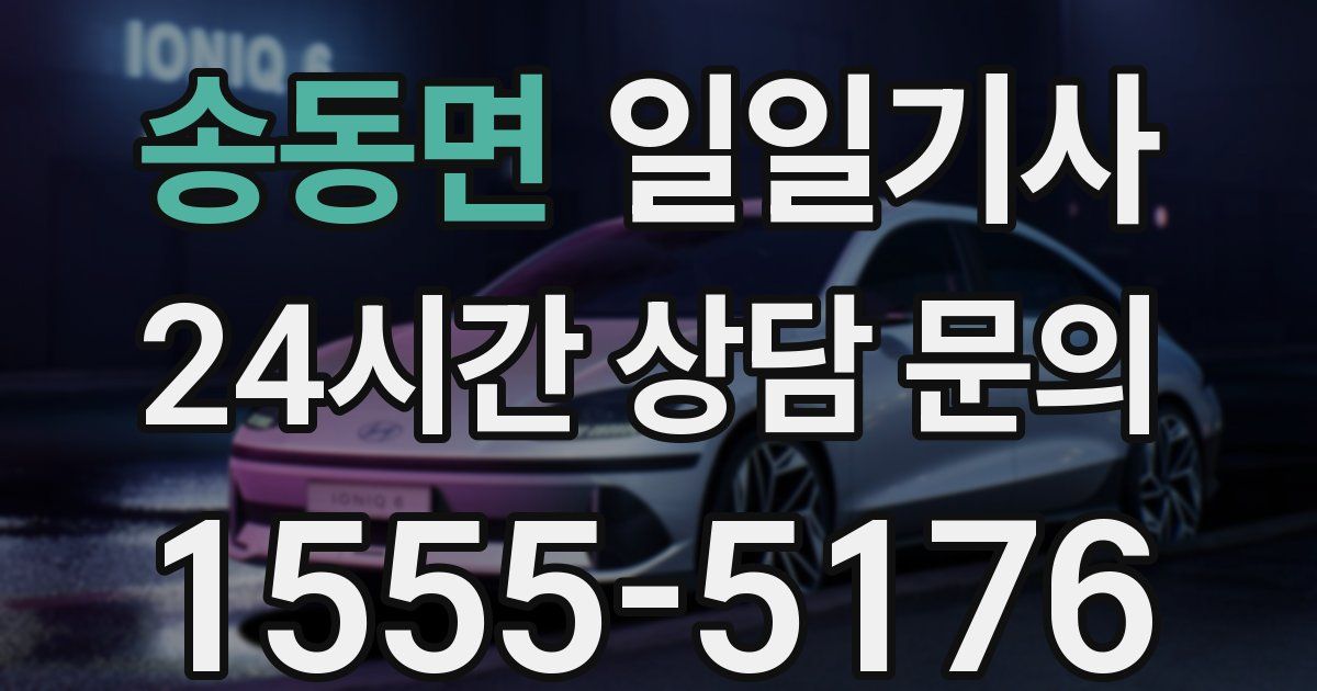 일일대리기사