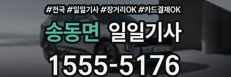 송동면 일일기사