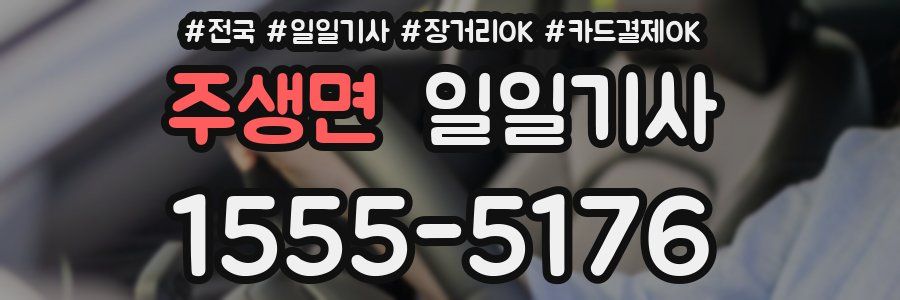 주생면 일일기사